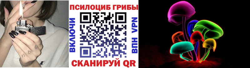 Псилоцибиновые грибы GOLDEN TEACHER  Шенкурск 